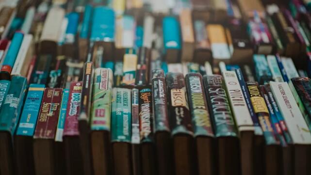 （1074期）小说作家带你30天写小说，靠小说赚钱，真正实用培训营！