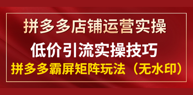 （1342期）拼多多店铺运营实操，低价引流实操技巧，拼多多霸屏矩阵玩法（无水印）