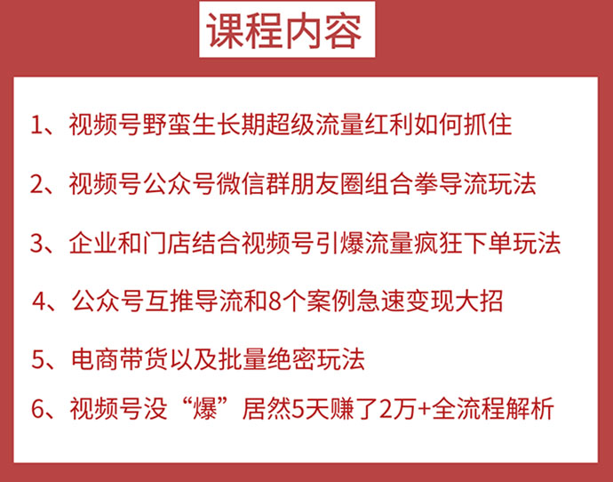 （1532期）视频号训练营第2期：引爆流量疯狂下单，5天赚2万+全流程解析！