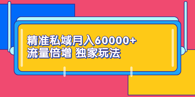 （2353期）精准私域月入60000+ 流量倍增 独家玩法（9节视频课）