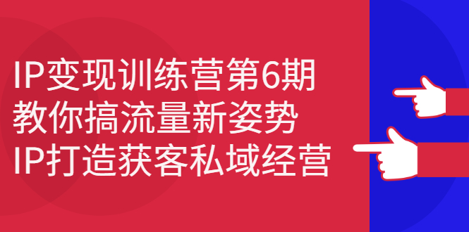 （2351期）IP变现训练营第6期：教你搞流量新姿势，IP打造获客私域经营