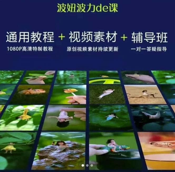 （2420期）波妞波力的视频通用教程+视频素材+辅导班