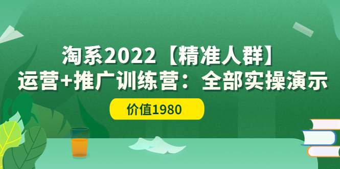 （3516期）淘系2022【精准人群】运营+推广训练营：全部实操演示
