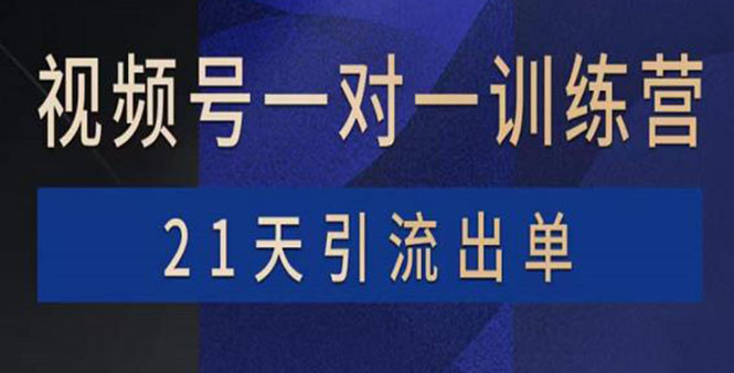（3678期）视频号训练营：带货，涨粉，直播，游戏，四大变现新方向，21天引流出单