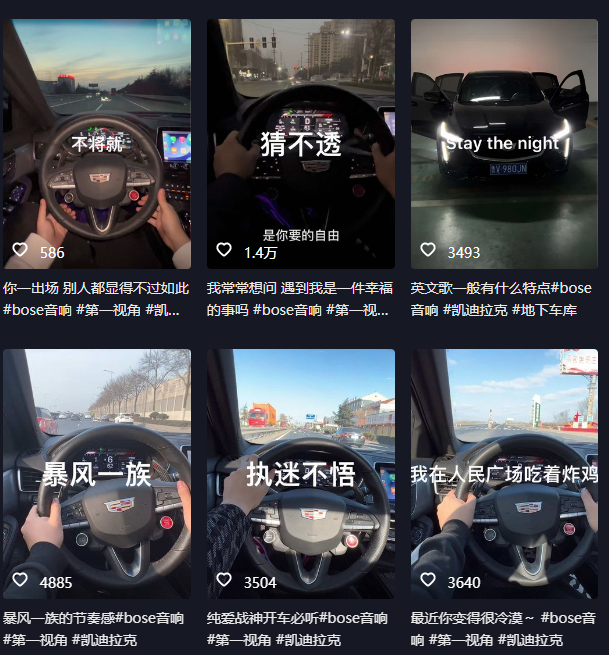 （6199期）抖音开车视频项目，0基础操作，每天五分钟，月入1W+