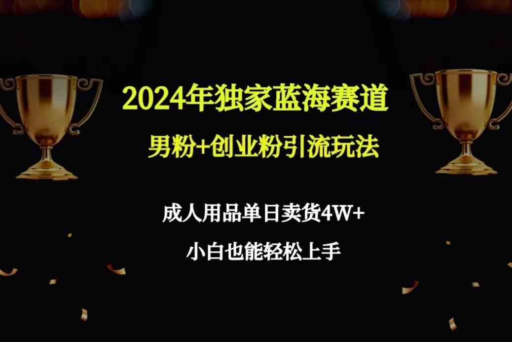 （9111期）2024年独家蓝海赛道男粉+创业粉引流玩法，成人用品单日卖货4W+保姆教程